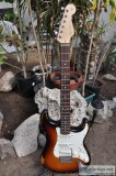ESP Frankenstein Caster Electric Guitar