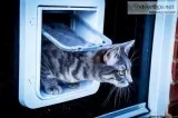 Buy Microchip Cat Flap for Glass Door