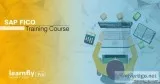 Best SAP FICO Training and Certification Course-learnflypro