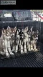 Husky Puppies