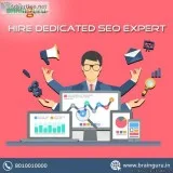 Hire Dedicated SEO Expert