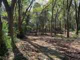 7 acres in Dallas TX For Sale