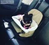 Pomeranian puppy female