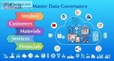 Vendor Master Data Management
