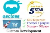Best Osclass Developer in Mumbai