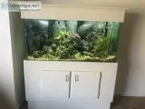 Aquarium complete setup
