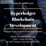 Ecosmob s Hyperledger Blockchain Development Solutions
