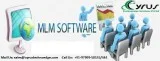 Why You Need an MLM Software Not Just Another Website