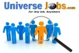 Immediate Requirement for Dot Net Developers