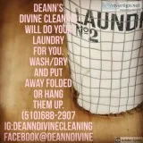DeAnn s Divine Cleaning