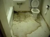 Waterproofing