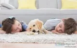 Tips for a Clean Carpet