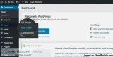 wordpress training institute in delhi