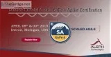 Leading SAFe 4.6  Aleph Technologies  Scaled Agile 