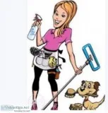 Best cleaning service also walk at. Your service