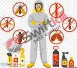 Best Pest Control Services in Maidstone