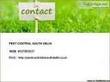 Offering Most Viable Pest Control Services in South Delhi