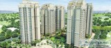 Flats for Sale in Noida Ace Golfshire call 9278057805 and Book