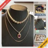 Toronto Downsizing Online Auction - Aintree Court