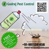 Get Pest control Gurgaon dial 91-9811381458