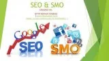SEO COMPANY  IN  NOIDA