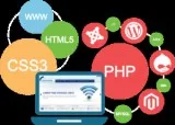 Top Dynamic Websites Designing Company in Delhi MCM Infotech