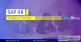 Online SAP Basis Training in delhi-learnflypro