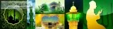 Best Muslim astrologer in delhi