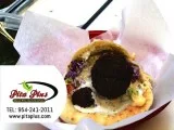 Delicious Middle Eastern Food Falafel- Pita Plus.