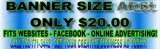LET S GET YOUR BUSINESS NOTICED - We Create Big Business Ads