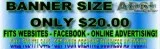 LET S GET YOUR BUSINESS NOTICED - We Create Big Business Ads
