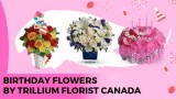 Birthday Flowers by Trillium Florist Canada