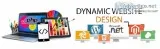 Best Dynamic Website Design Company  Web Designing  Kuchvi.in