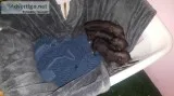 Taking 50 Deposit on Mini Piglets and 25 on Adults