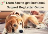 Learn how to get emotional support dog letter online