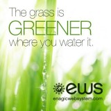 Be Water Wise go green and drink clean