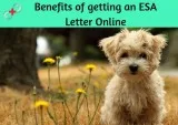 What is the importance of emotional support letter