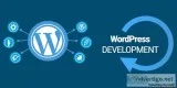 wordpress training institute in delhi