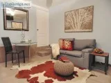 Room rental near coyoacan nurseries