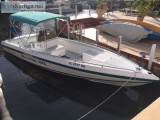 26 Wellcraft Scarab