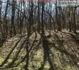 Lot 102 Chestnut Springs Section - Wintergreen Resort