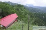 Luxury Resort in Dalhousie (Aaroham Resorts)