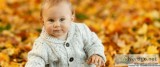 Homeopathy For Babies and Children s