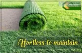 Best Synthetic Grass Supplier in Delhi