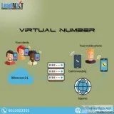 Virtual Number