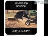 WEJ Stump grinding