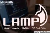 LAMP Development Company