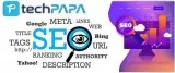 SEO Company in Noida at Techpapa