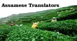Assamese translation Service in Delhi