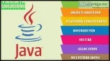 Java App Development - Mobiloitte